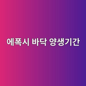 에폭시 바닥 양생기간은 얼마나 필요할까|보행·차량 통행 가능 시점 1 ec9790ed8fadec8b9c ebb094eb8ba5 ec9691ec839deab8b0eab084 1789391174